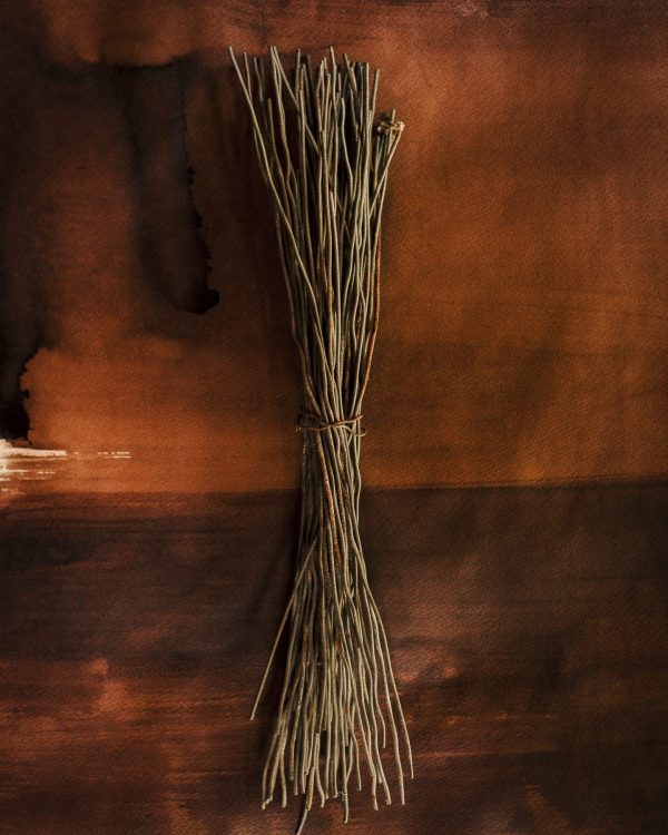 AmelieChassary_Païsan-02