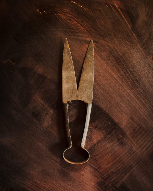 AmelieChassary_Païsan-05