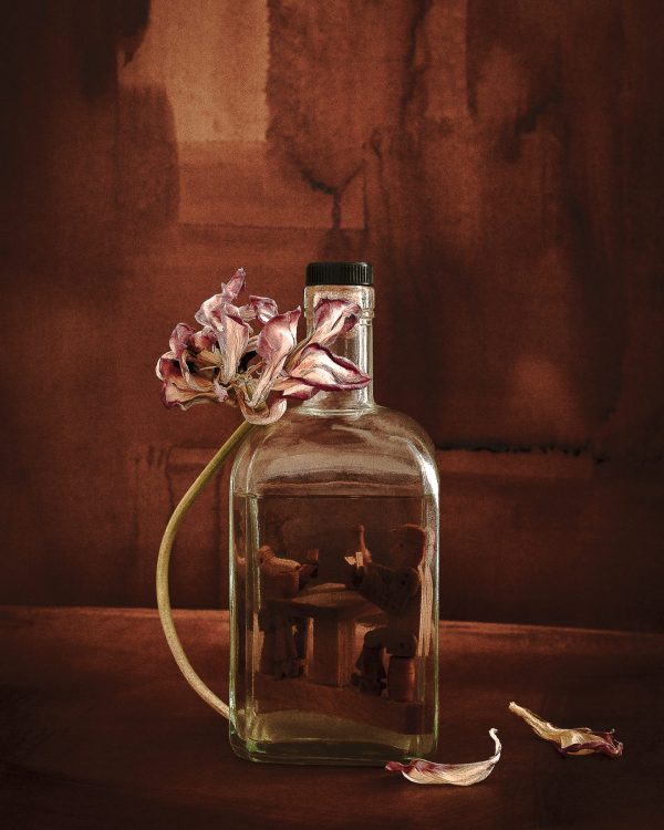 AmelieChassary_Païsan-07