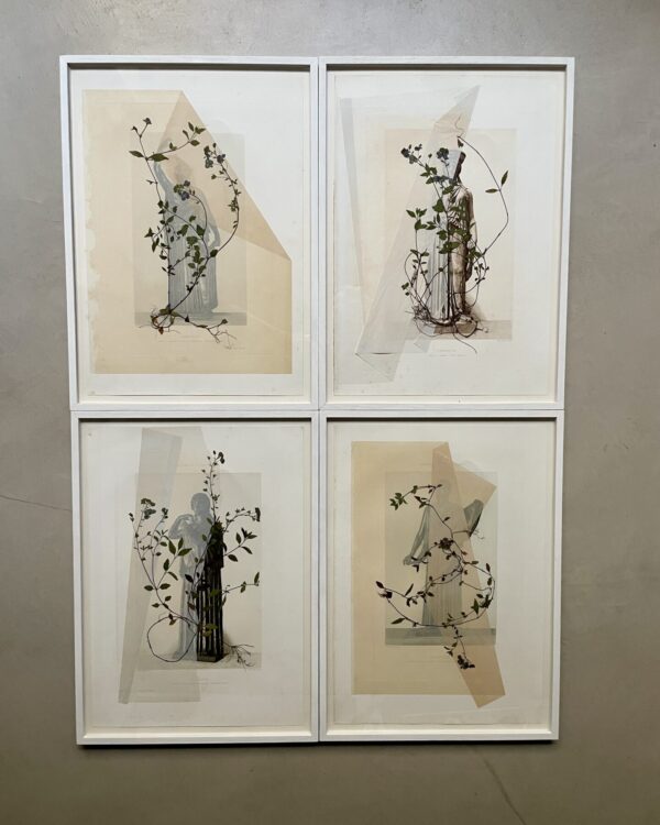 IMG_8440_SERIE DRAPES 4_34x47