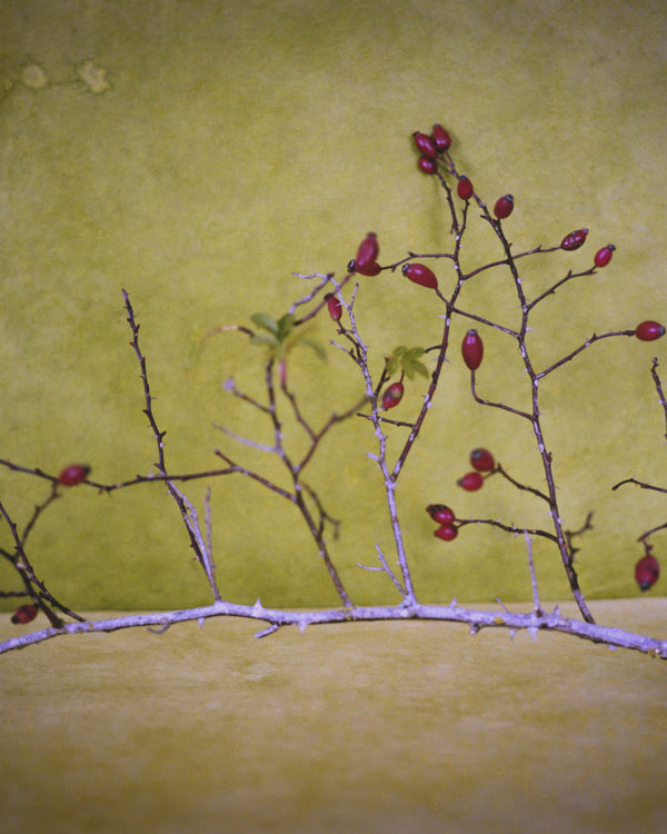 NM_BaiesRouge2_15x20_ACHASSARY